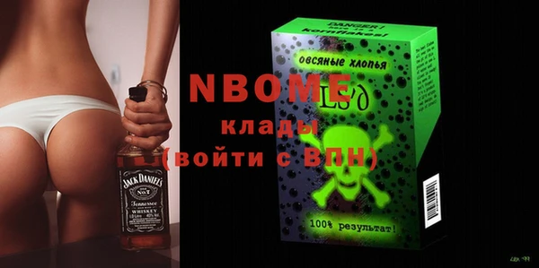 хмурый Алзамай