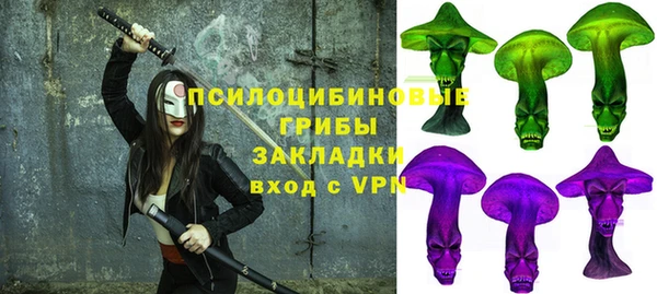 хмурый Алзамай
