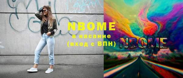 хмурый Алзамай