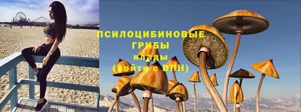 хмурый Алзамай