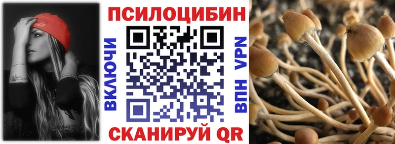 Псилоцибиновые грибы MAGIC MUSHROOMS  купить закладку  Котово 